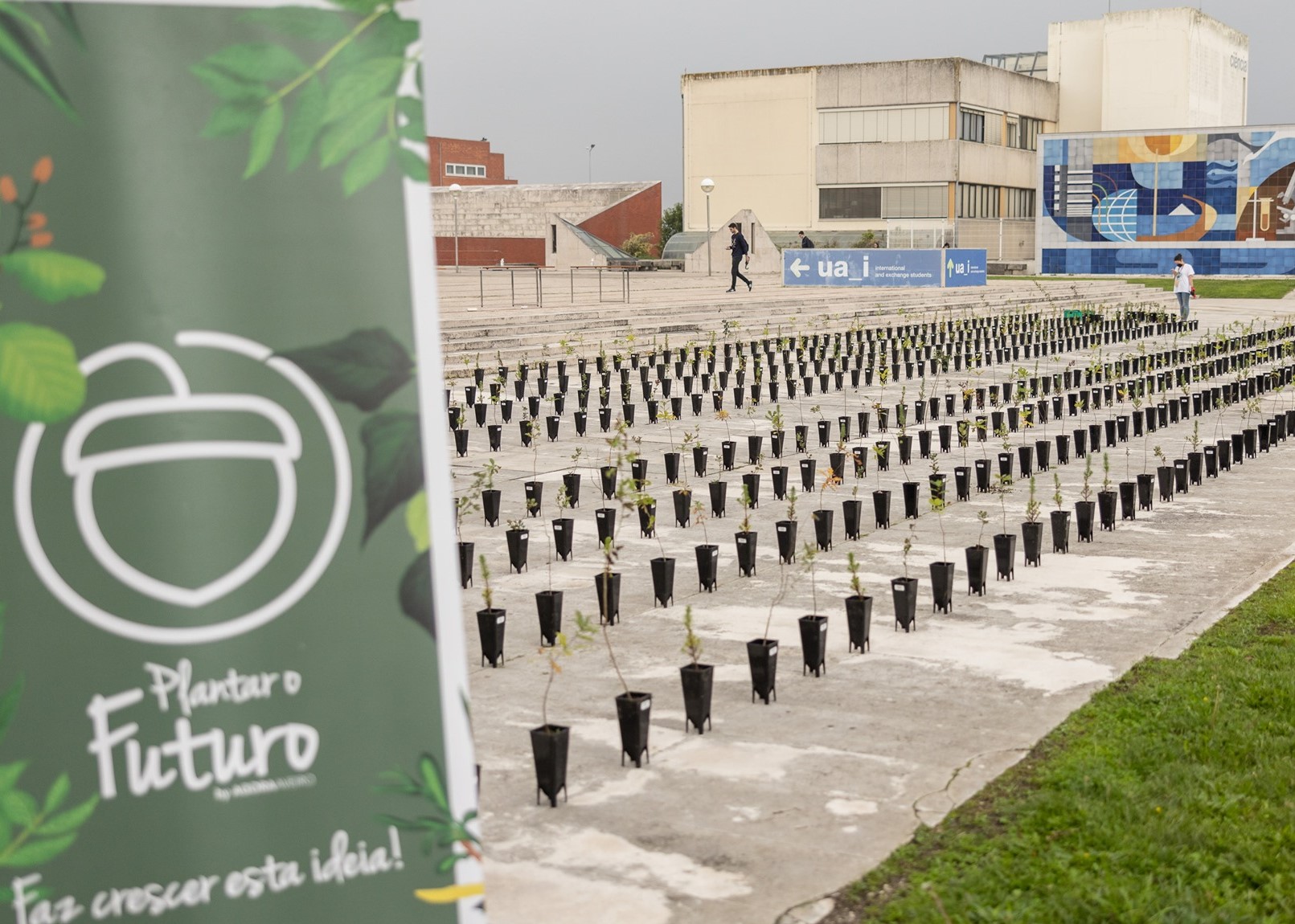 Caetano Auto apoia projeto AgoraAveiro "Plantar o Futuro"